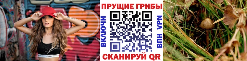 Псилоцибиновые грибы Magic Shrooms  Нижние Серги 